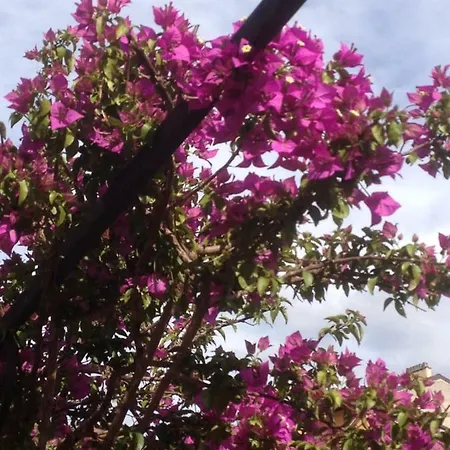 Dream 22 Oda ve Kahvaltı *