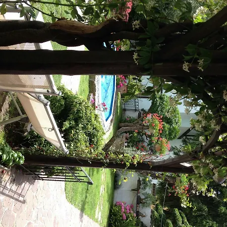 Dream 22 的里雅斯特