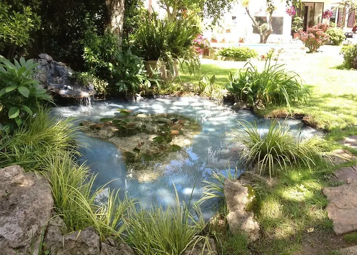 Dream 22 Nocleg ze śniadaniem