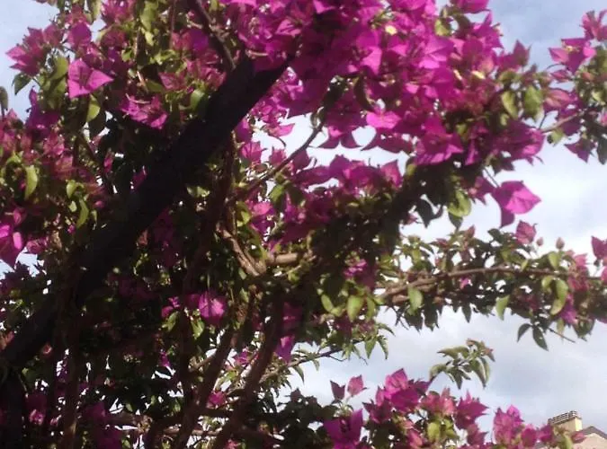 Dream 22 Bed & Breakfast *